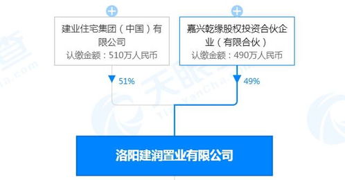 洛陽王城橋北cbd建業(yè)洛神廣場(chǎng),背后 靠山 實(shí)力雄厚